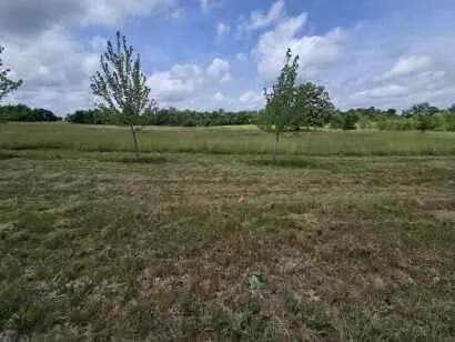 $65,000 | 0 Walkowe Lane, Manchester, MI 48158