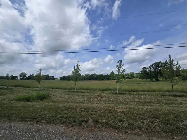 $65,000 | 0 Walkowe Lane, Manchester, MI 48158