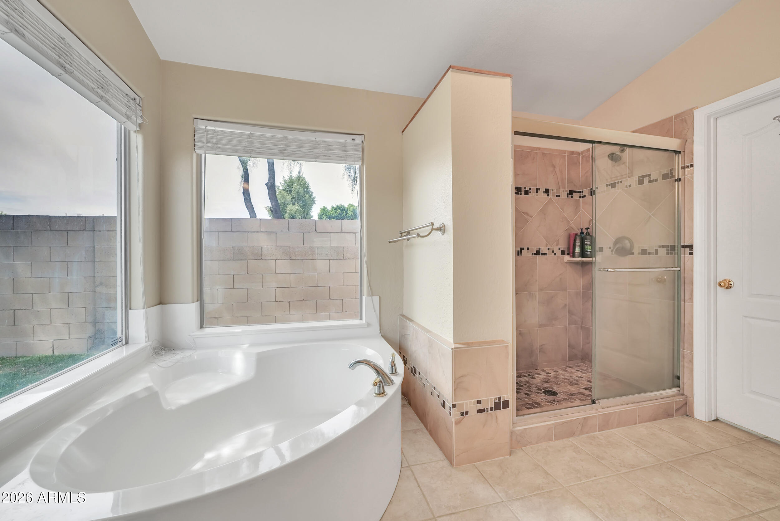 2343 East Kempton Road Chandler, AZ 85225 - Photo 15 of 25 Master Bath