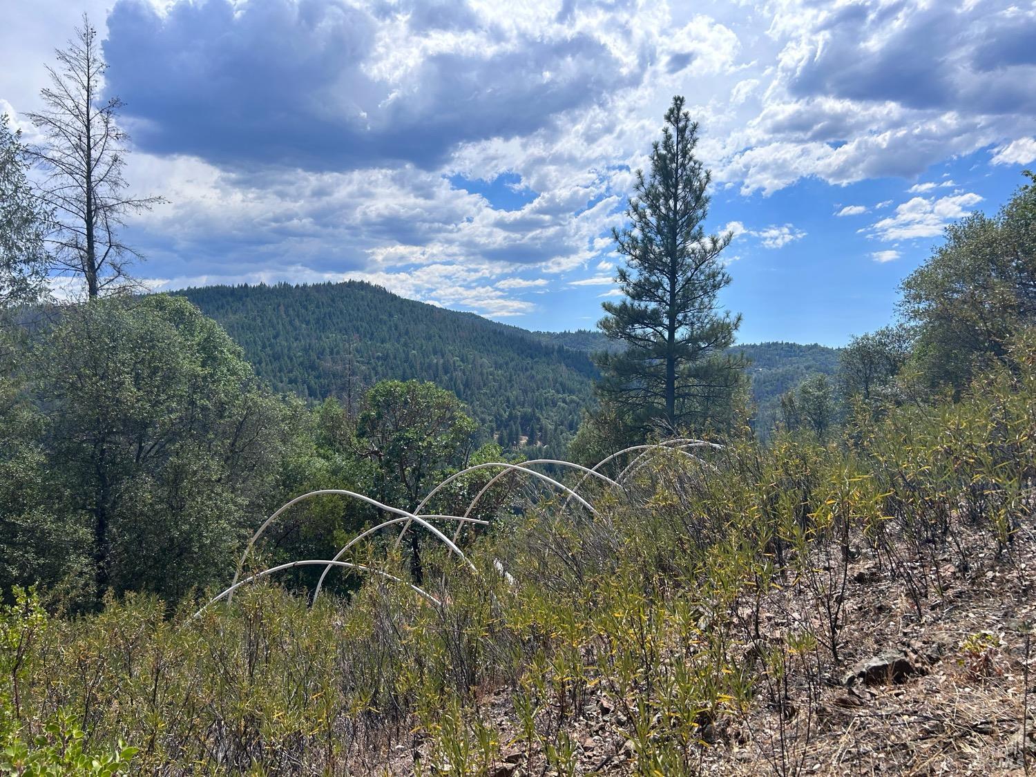 73046 Hill Road Covelo, CA 95428 - Photo 11 of 34 a backyard of a house with lots of green space