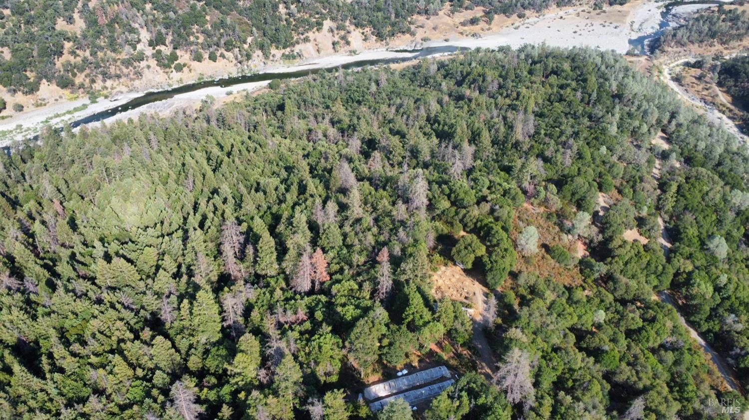 73046 Hill Road Covelo, CA 95428 - Photo 31 of 34 a view of a yard with a tree
