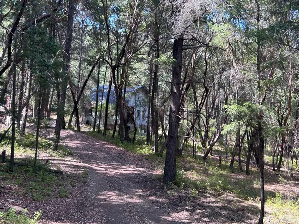a view of outdoor space with lots of trees