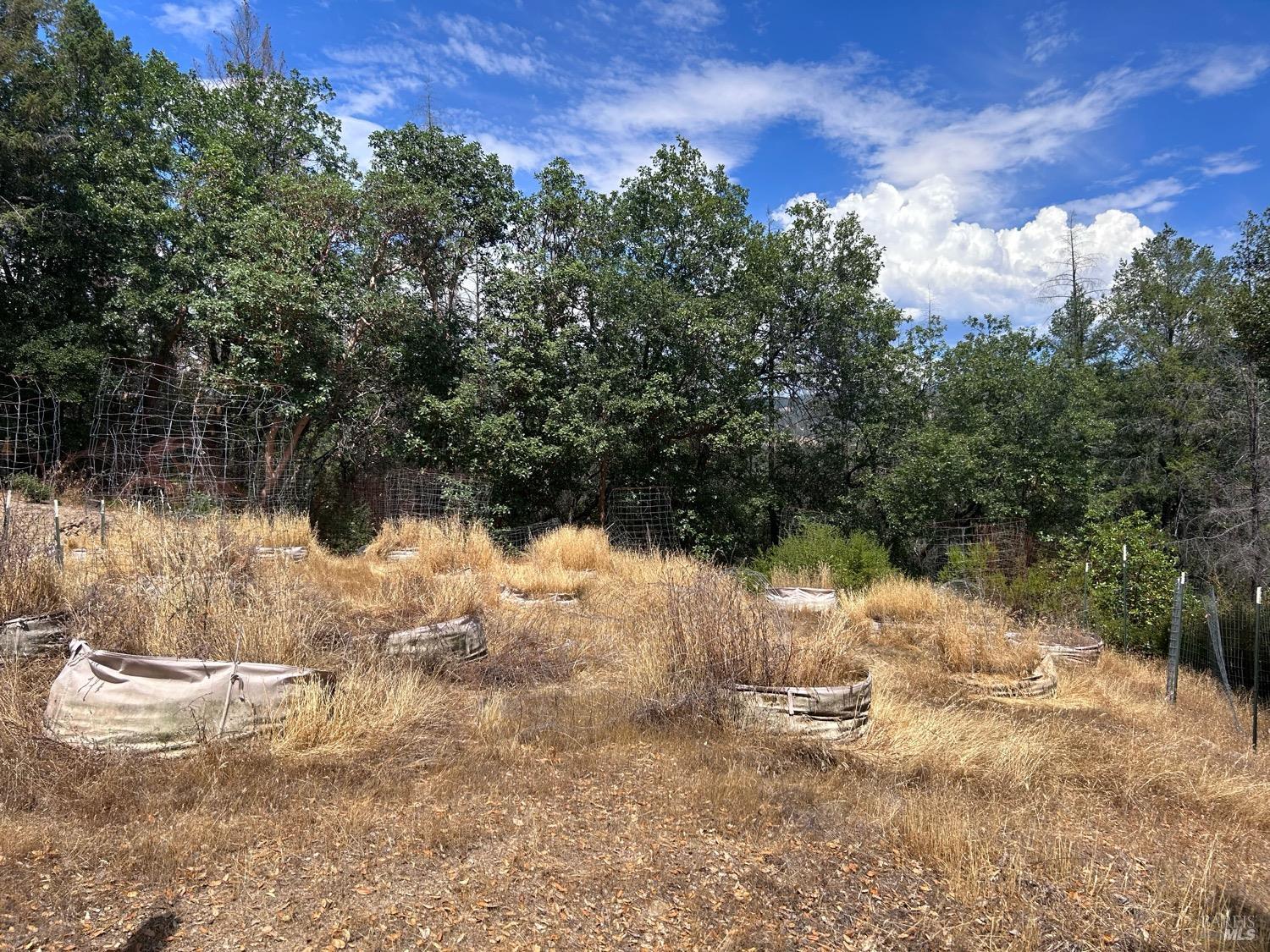 73046 Hill Road Covelo, CA 95428 - Photo 9 of 34 a view of lake