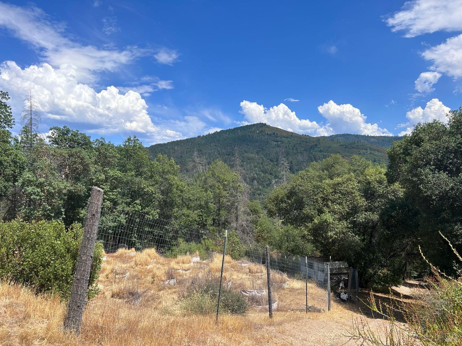 73046 Hill Road Covelo, CA 95428 - Photo 10 of 34 a view of a yard