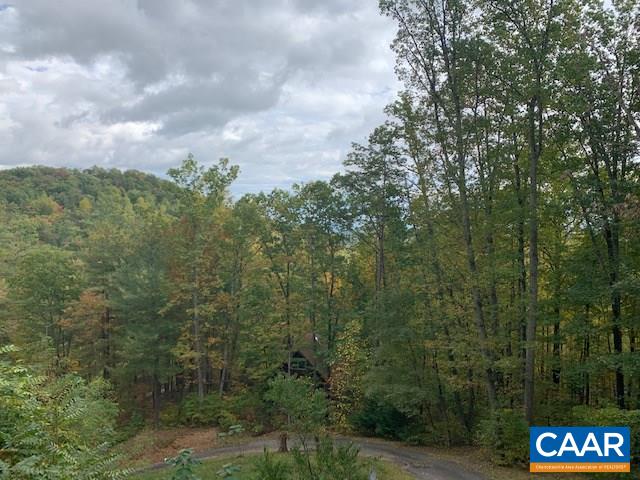 344 High Ridge Road Stanardsville, VA 22973 - Photo 3 of 9 a view of a street from a forest