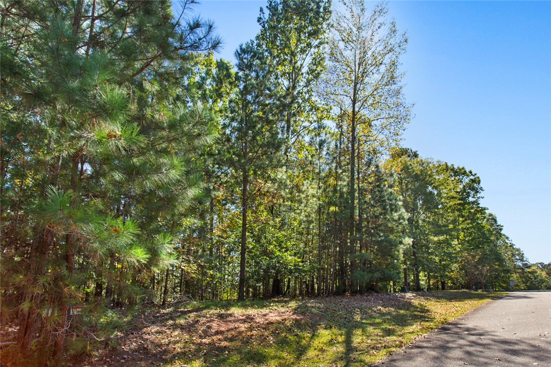 144 Waterside Drive Iva, SC 29655 - Photo 4 of 10