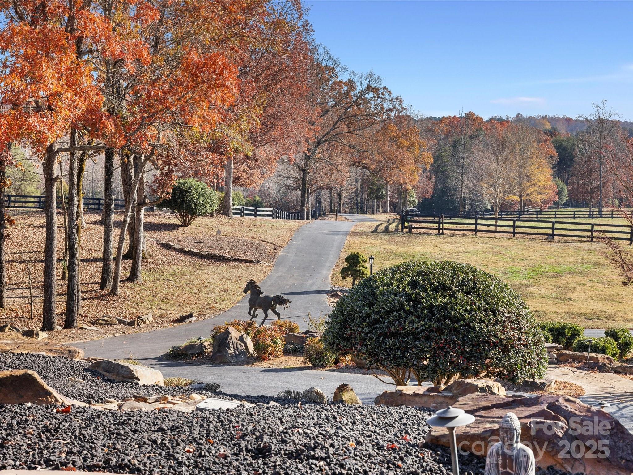 172 Tuckertown Road New London, NC 28127 - Photo 2 of 47 a view of a yard with plants and trees