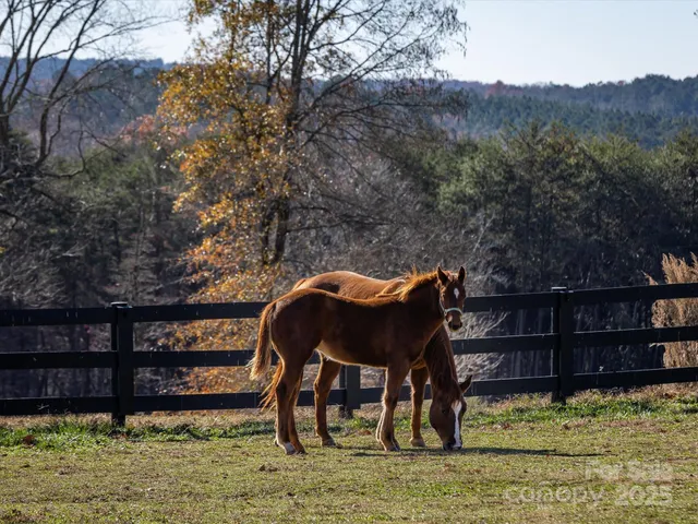 a view of house with yard and sitting area
