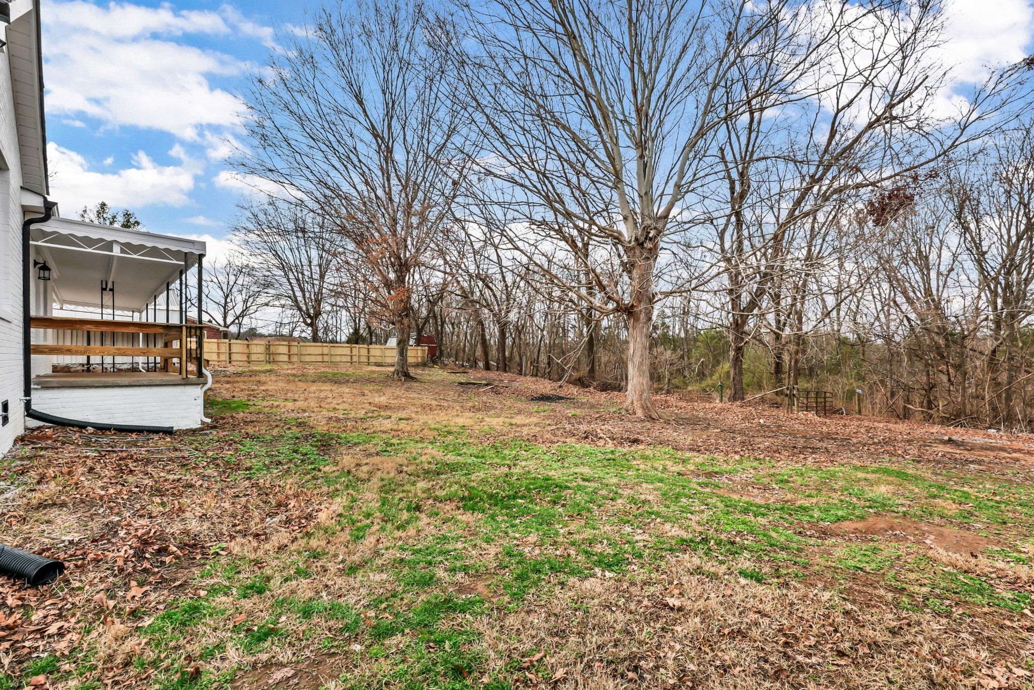 3436 State Highway 48 Cunningham, TN 37052 - Photo 39 of 45 a view of yard with tree
