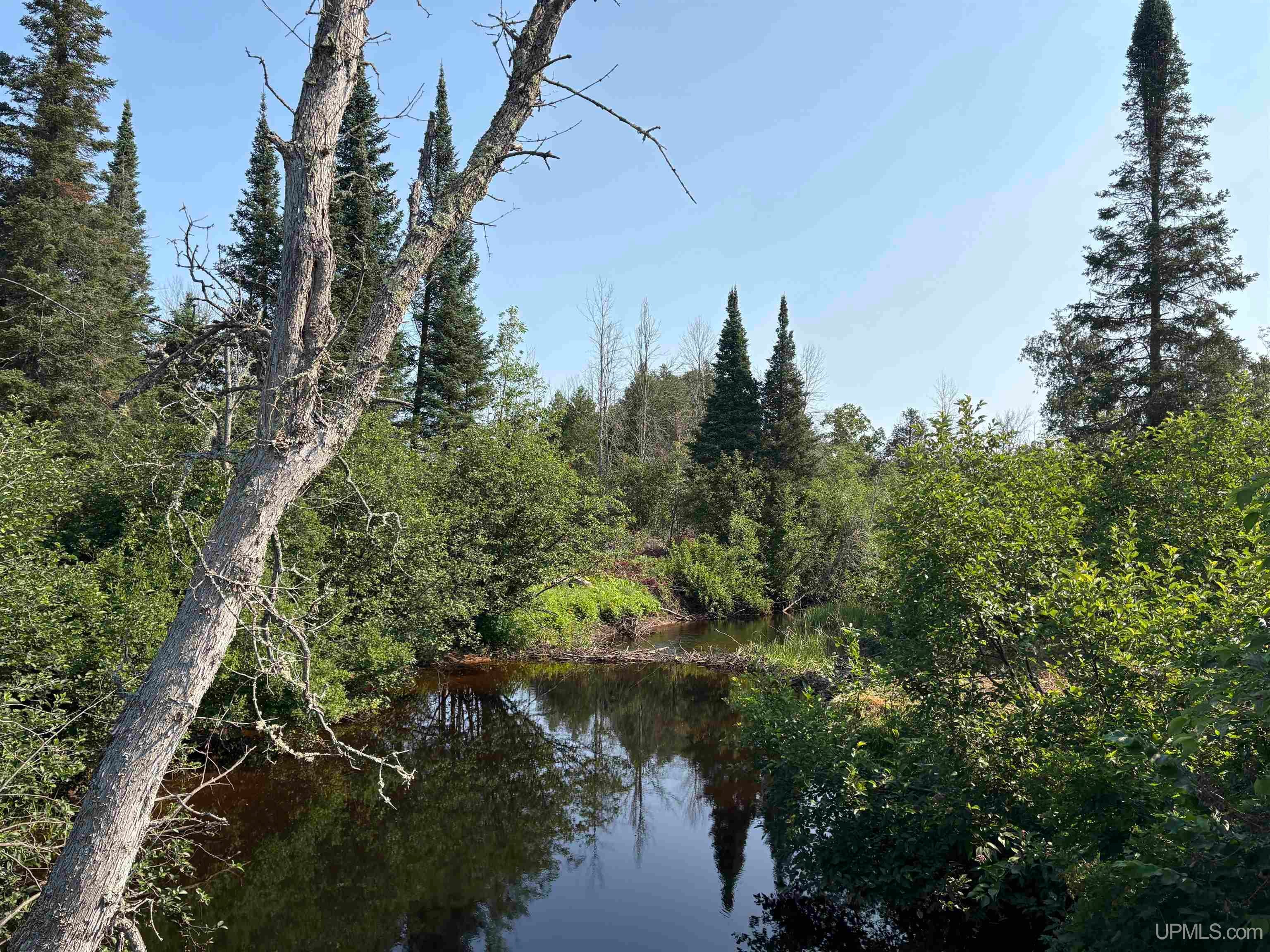 River 80-e Of North Pointe Road Deerton, MI 49822 - Photo 1 of 19 Gallery Image 1