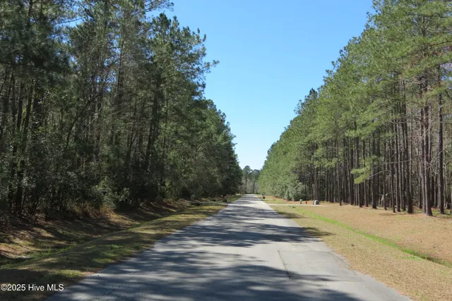 $1,445,000 | 486 Point Of View Drive, Merritt, NC 28556