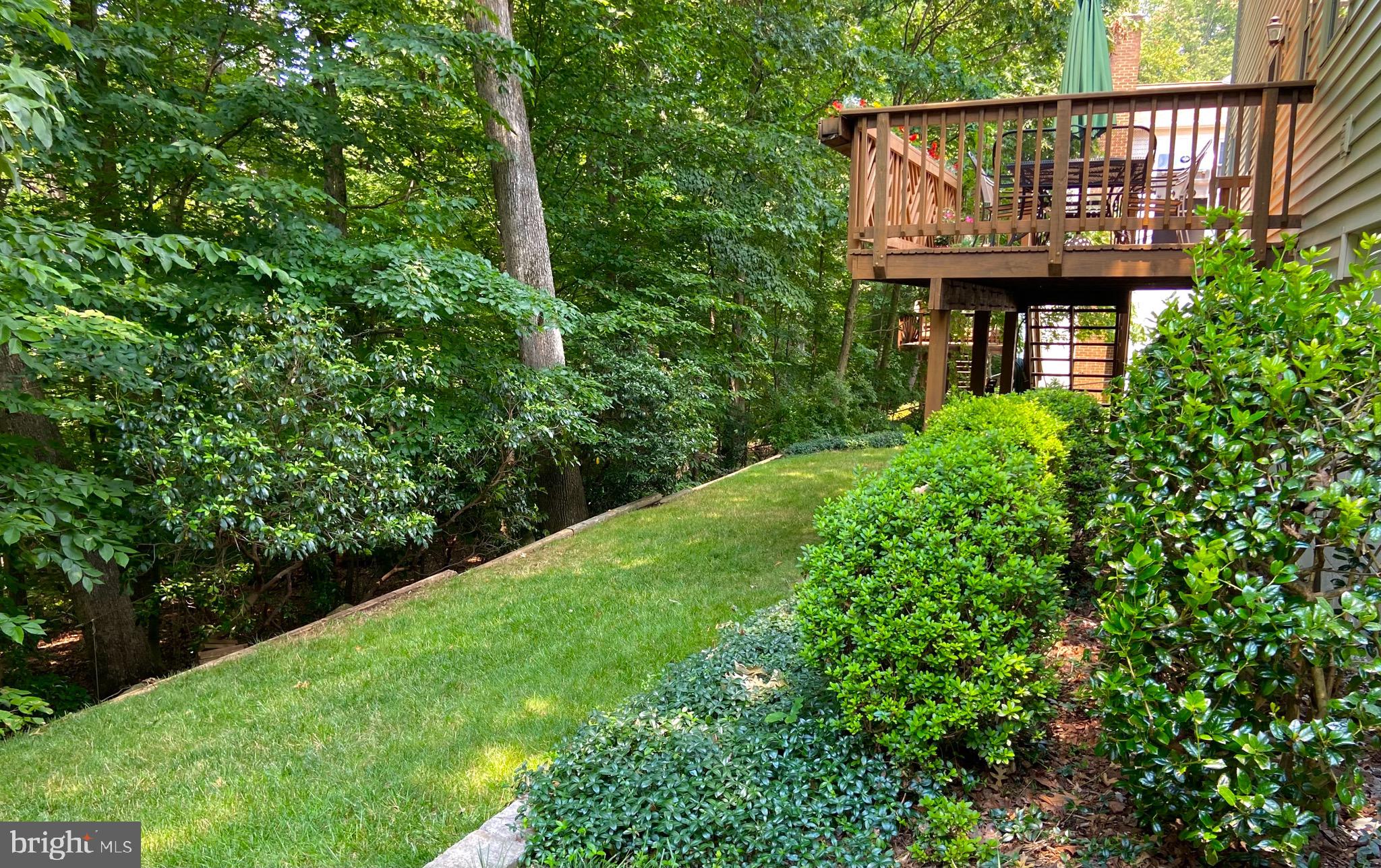 7788 Turlock Road Springfield, VA 22153 - Photo 15 of 65 Private lush wooded backyard