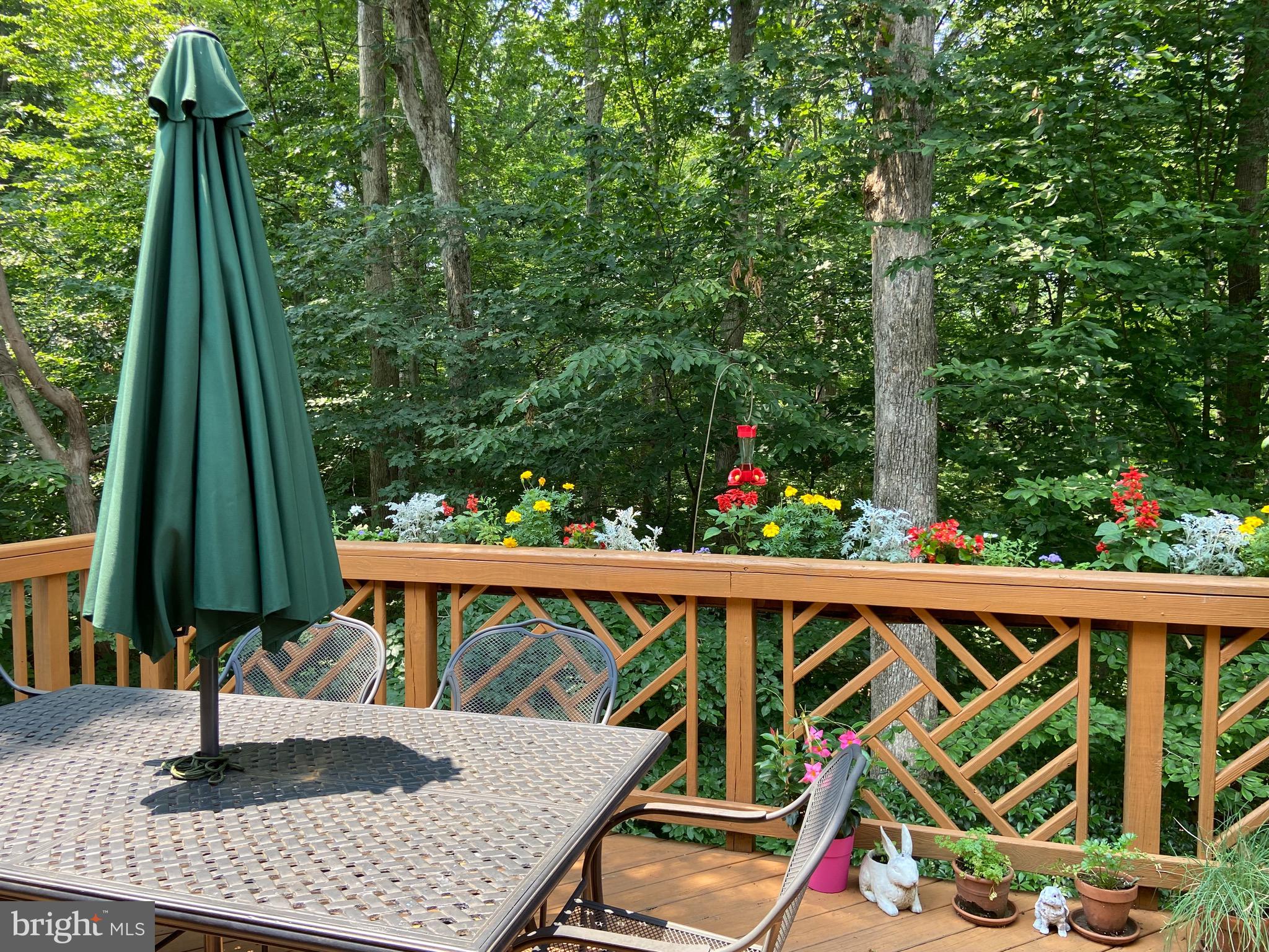 7788 Turlock Road Springfield, VA 22153 - Photo 21 of 65 Enjoy the lush private wooded views from your deck