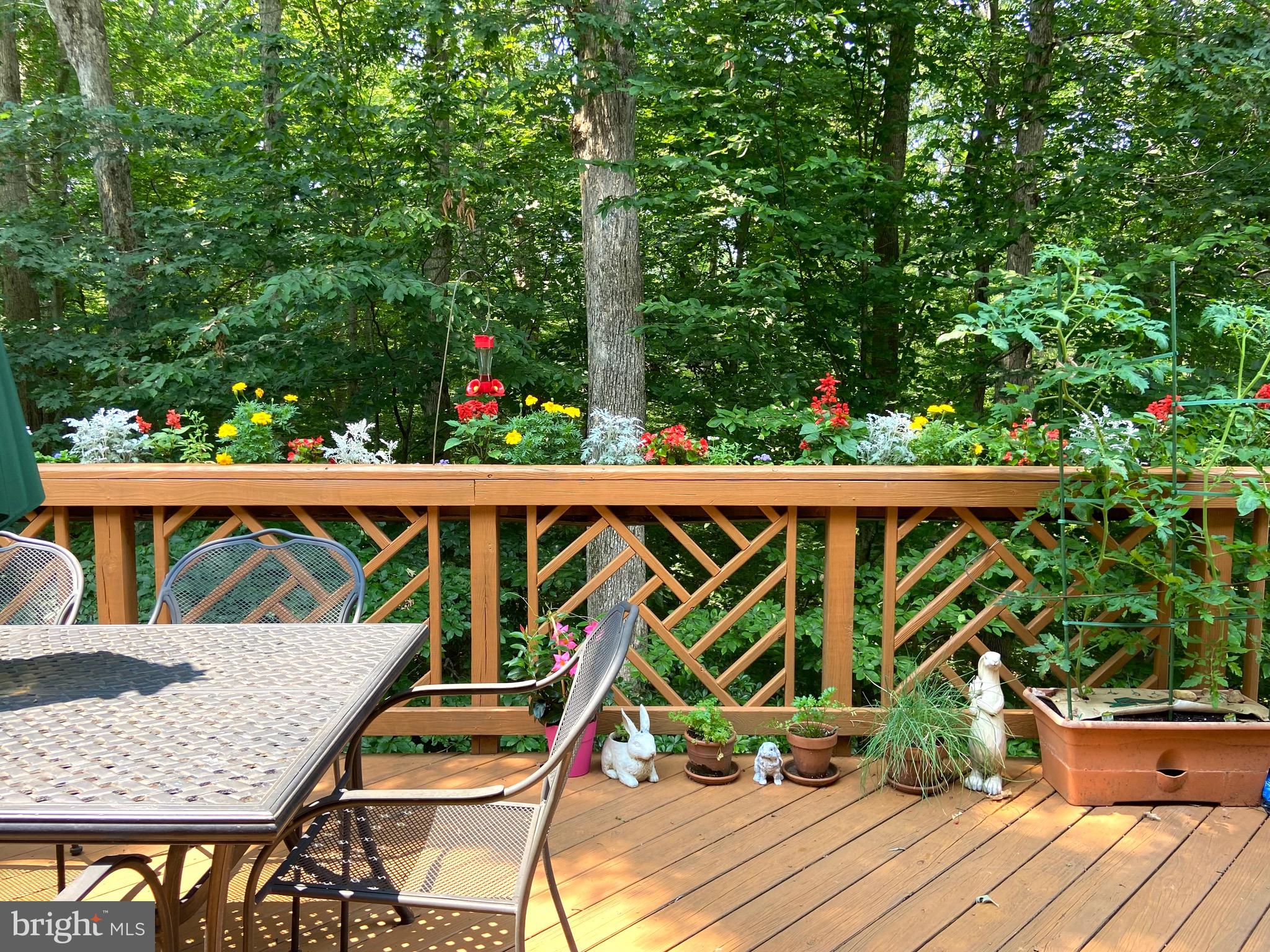 7788 Turlock Road Springfield, VA 22153 - Photo 23 of 65 Complete privacy