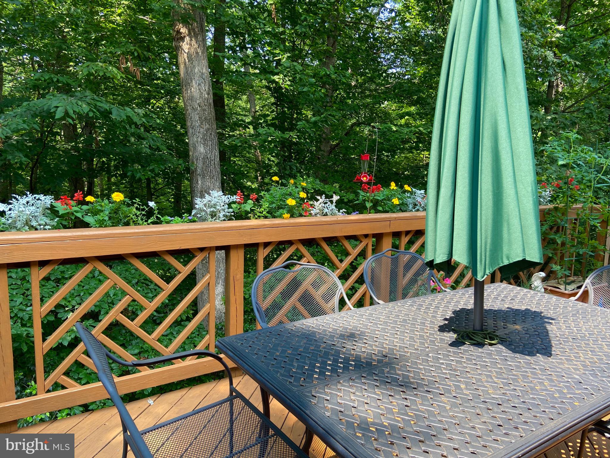 7788 Turlock Road Springfield, VA 22153 - Photo 25 of 65 Backs to park land