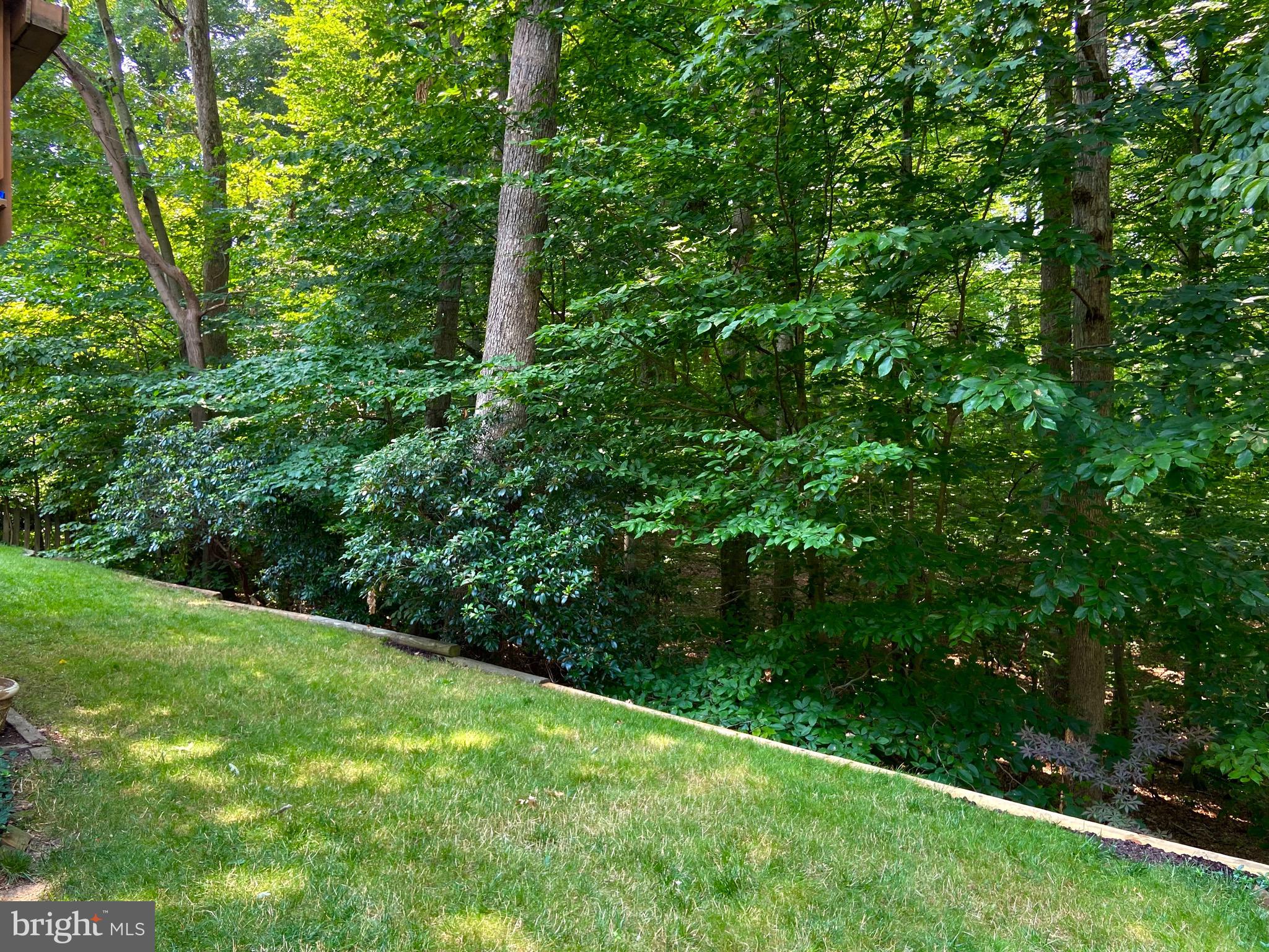 7788 Turlock Road Springfield, VA 22153 - Photo 31 of 65 Lush wooded views!