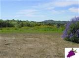 20 Vineyard Road Prather, CA 93651 - Photo 3 of 3 Wildflowers everywhere and lots of room for large estate house and barn, shop, ??