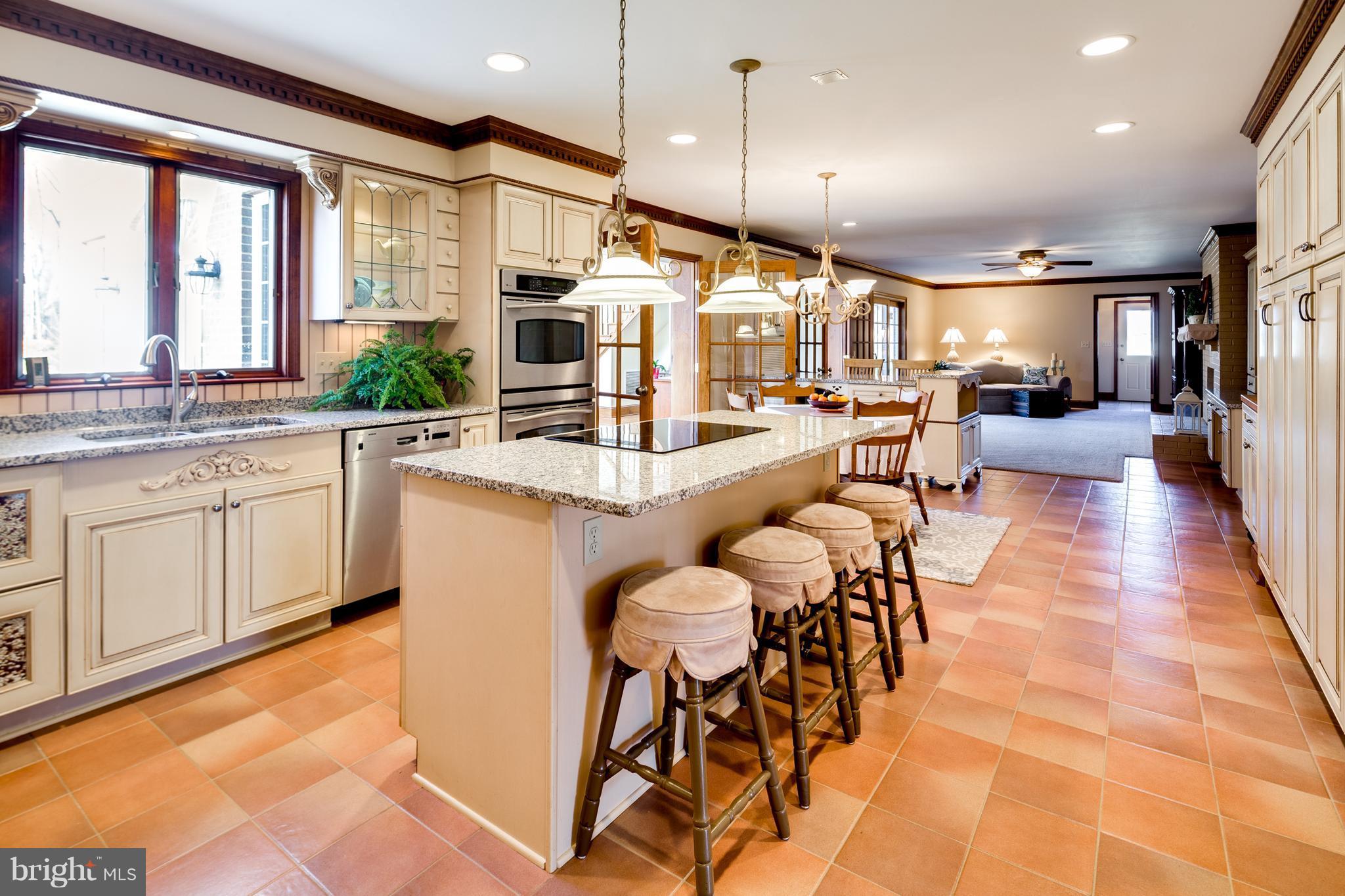 16400 Ed Warfield Road Woodbine, MD 21797 - Photo 10 of 30 Granite counters and stainless steel appliances