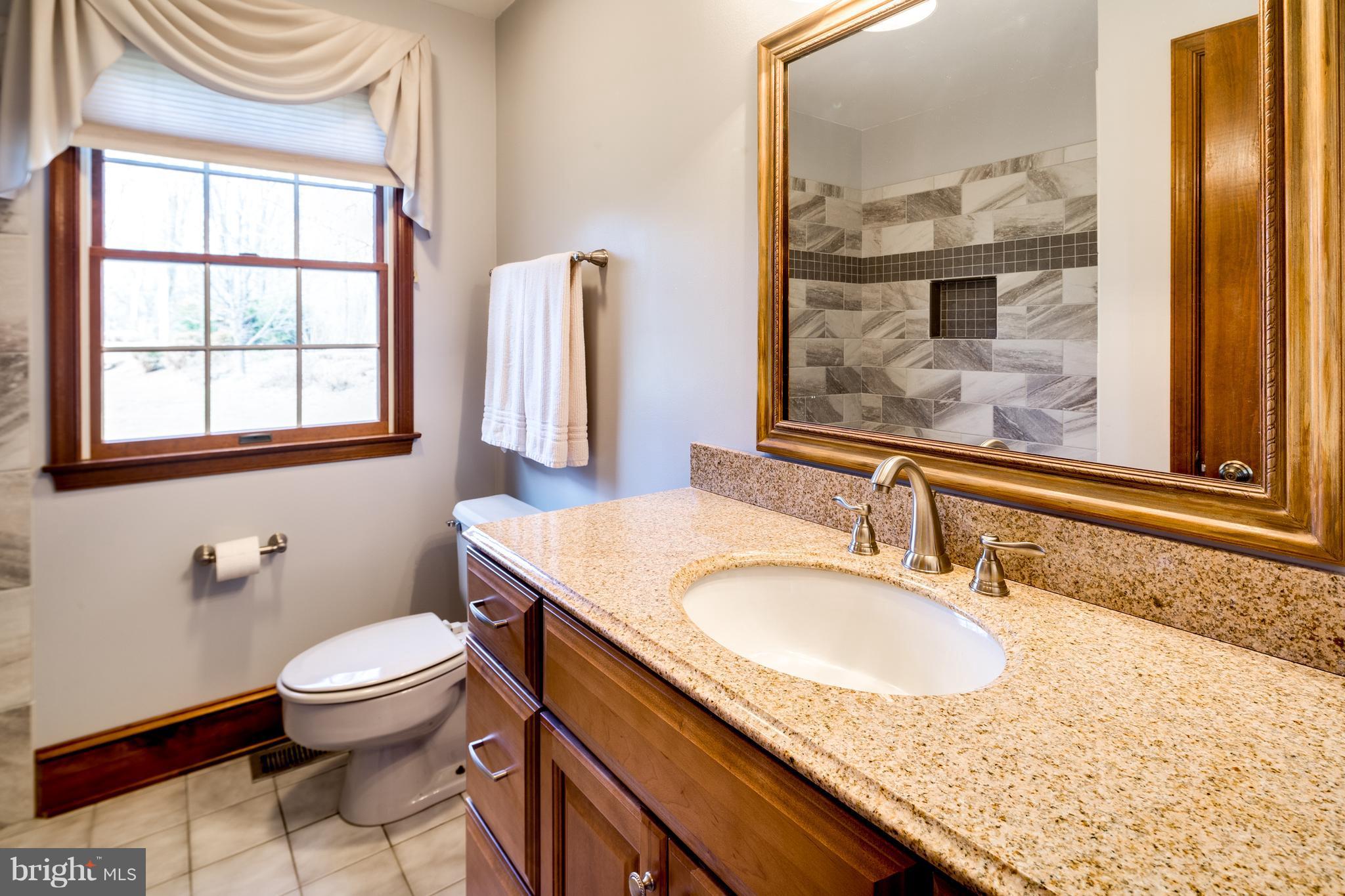 16400 Ed Warfield Road Woodbine, MD 21797 - Photo 16 of 30 Bathroom