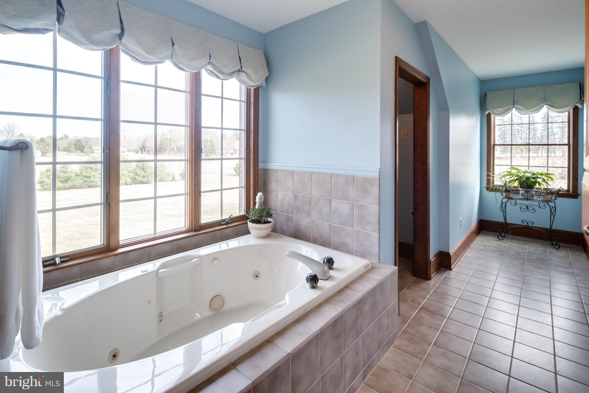 16400 Ed Warfield Road Woodbine, MD 21797 - Photo 24 of 30 Master bathroom with soaking tub