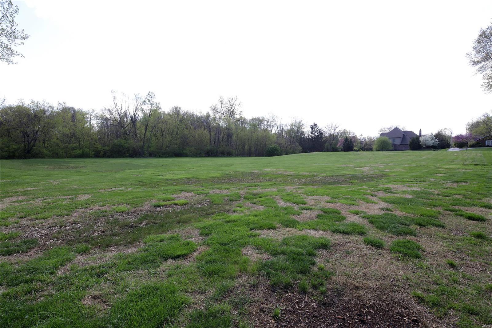 11801 Conway Road, Unit B St. Louis, MO 63131 - Photo 10 of 11