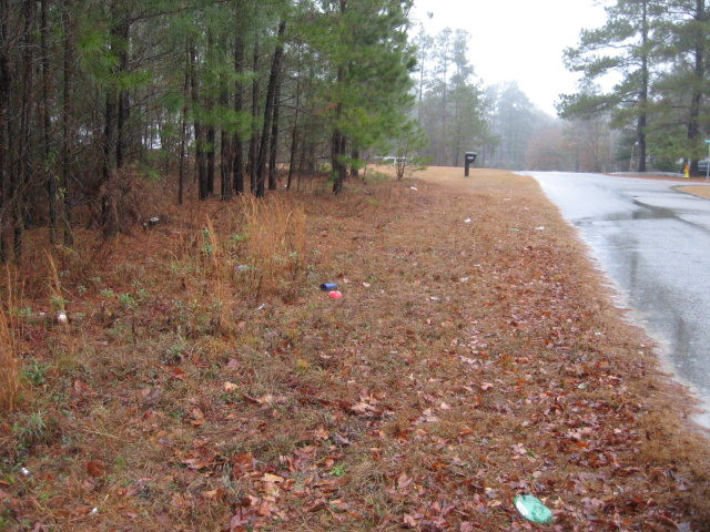 2889 Rosedale Drive Orangeburg, SC 29115 - Photo 1 of 1 Main View