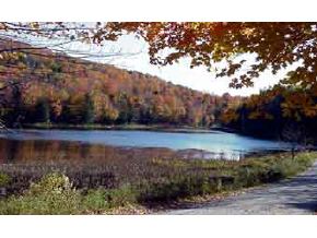 172 Lime Pond Road Barnard, VT 05067 - Photo 4 of 4