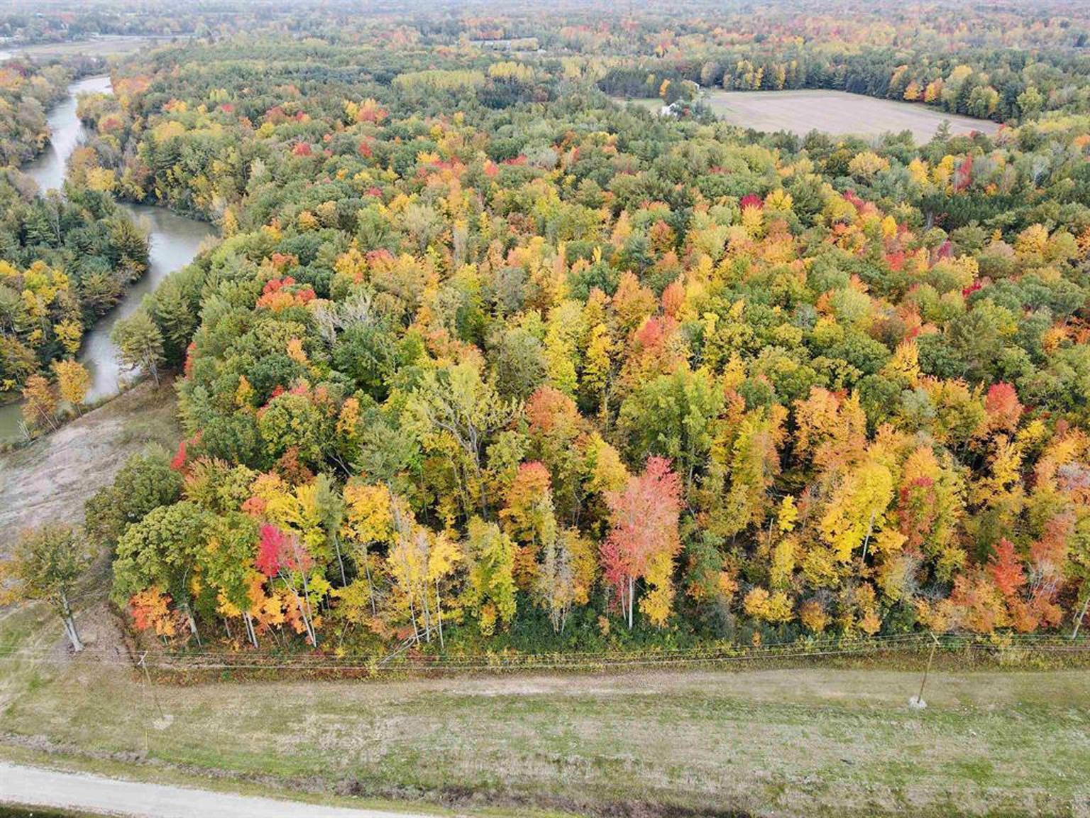 Vl North Neiner Road Beaverton, MI 48612 - Photo 11 of 14