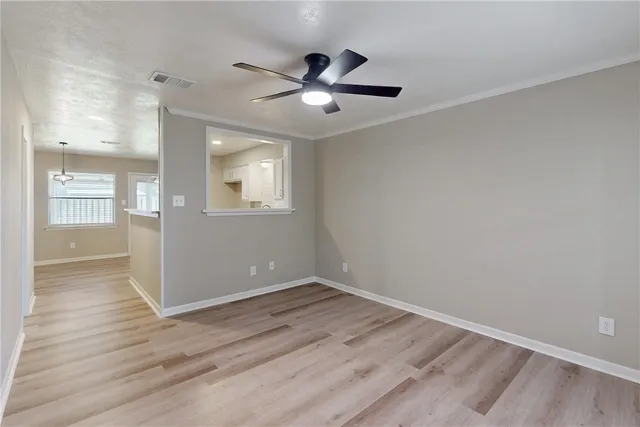 a plant is in front of a house