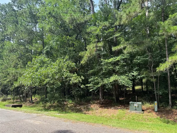 $12,500 | 75 Green Tree Drive, Coldspring, TX 77331
