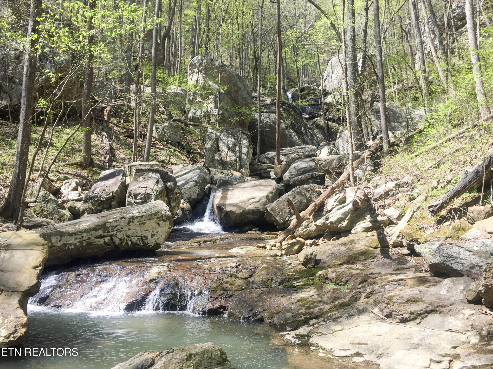 0 Rockfort Road Pikeville, TN 37367 - Photo 28 of 38 Gallery Image 28