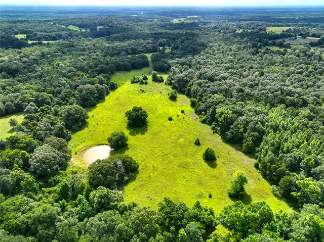 an aerial view of a swimming pool