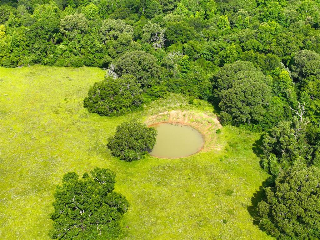 Tbd Fcr 280 Oakwood, TX 75855 - Photo 11 of 13 a view of ocean with green space