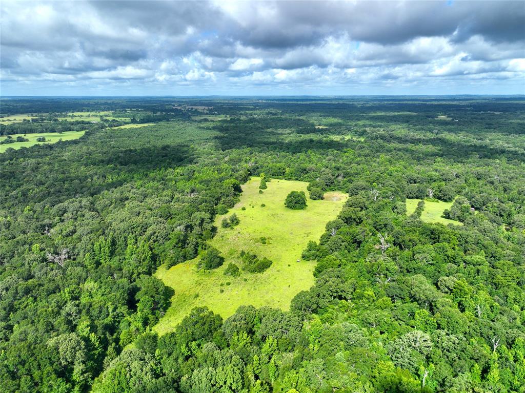 Tbd Fcr 280 Oakwood, TX 75855 - Photo 11 of 13 a view of a big yard with large trees
