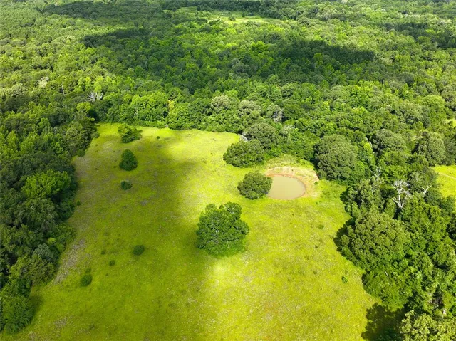 $435,900 | Tbd Fcr 280, Oakwood, TX 75855