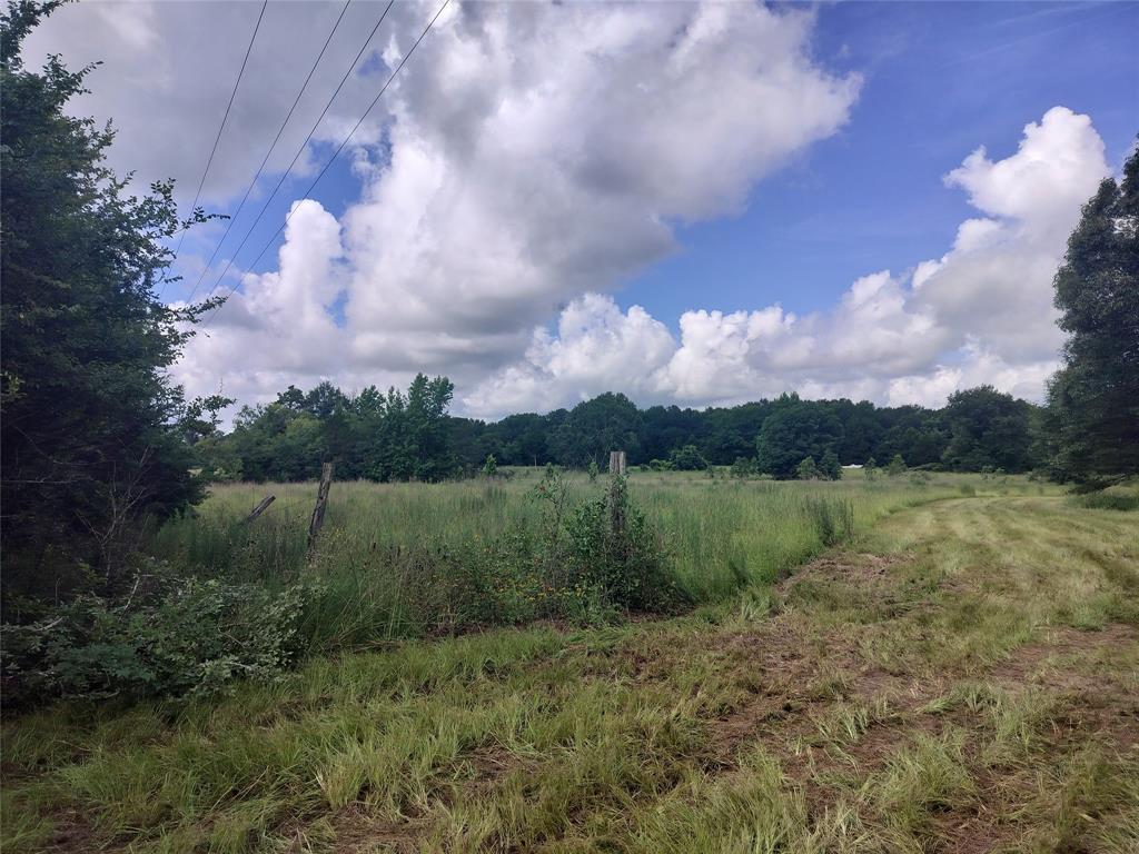 Tbd Fcr 280 Oakwood, TX 75855 - Photo 13 of 13