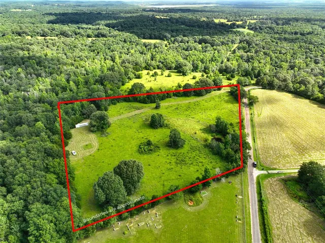 a view of a garden with a lake