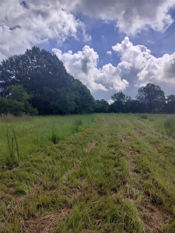 Tbd Fcr 280 Oakwood, TX 75855 - Photo 3 of 13 a view of a lake