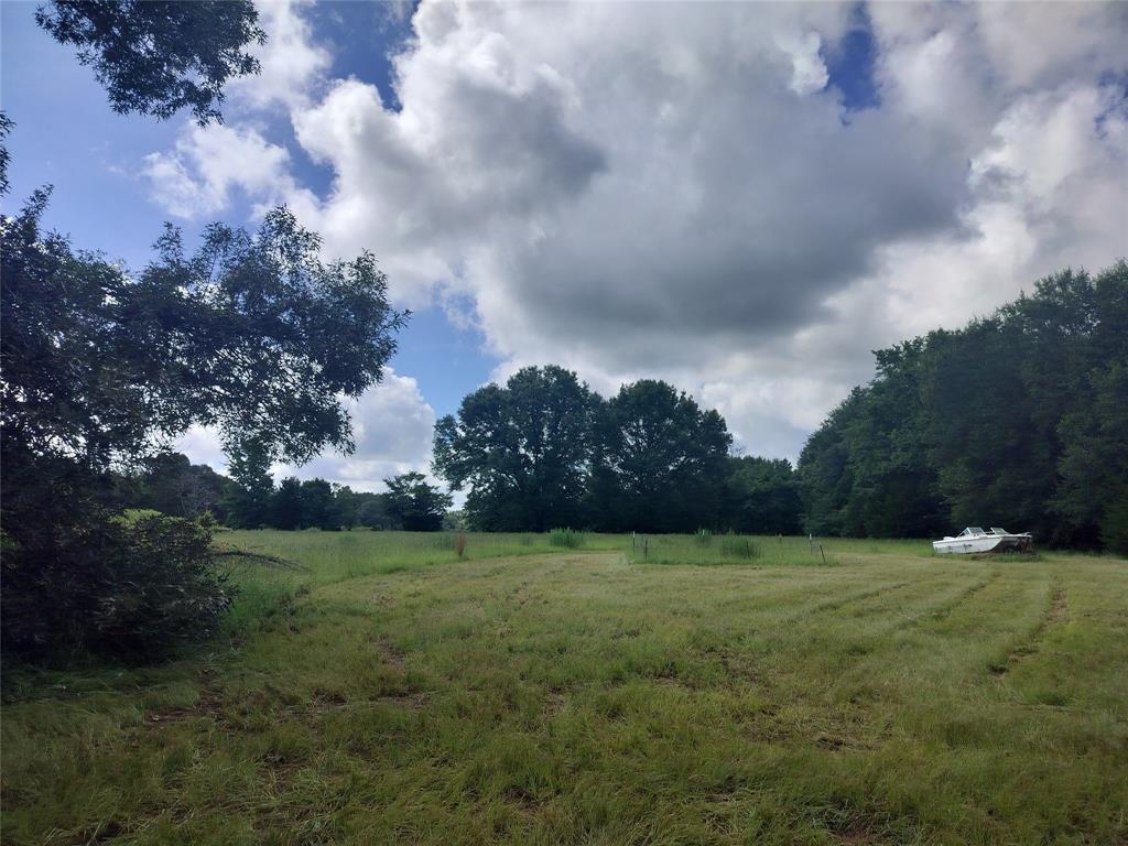 Tbd Fcr 280 Oakwood, TX 75855 - Photo 6 of 13 a view of a grassy field