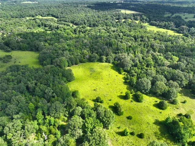 a view of a green field with lots of green space