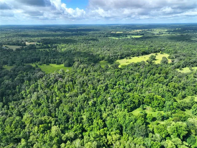a view of a yard with plants