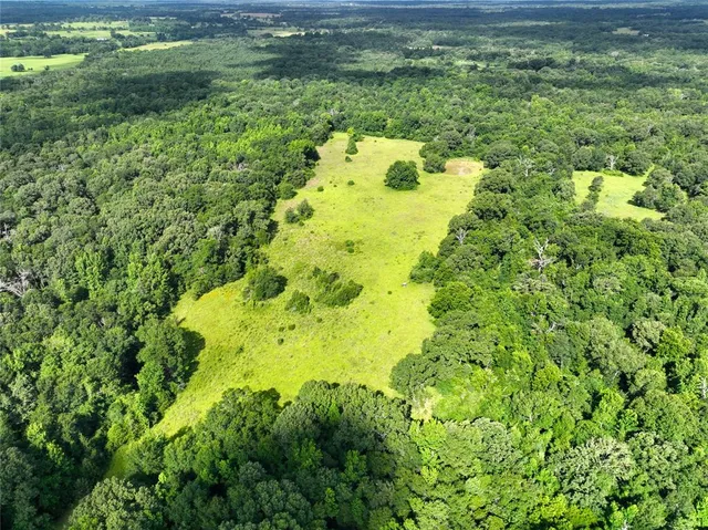 a view of a big yard with large trees