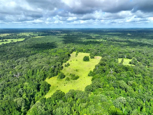a view of ocean with green space