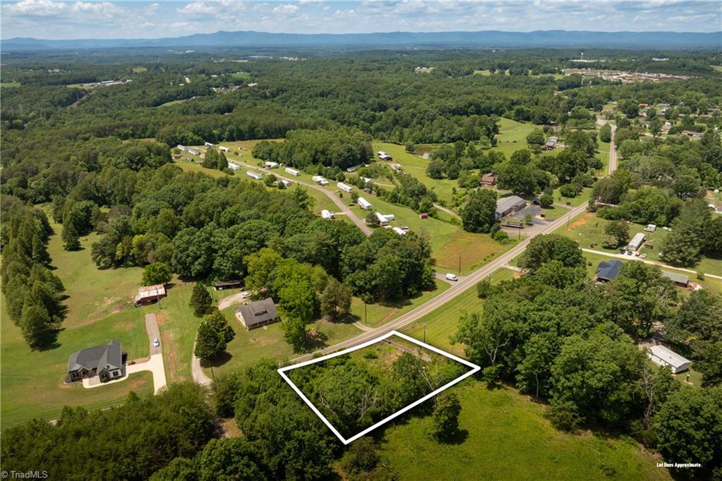 309 Ararat Longhill Road Pilot Mountain, NC 27041 - Photo 6 of 34