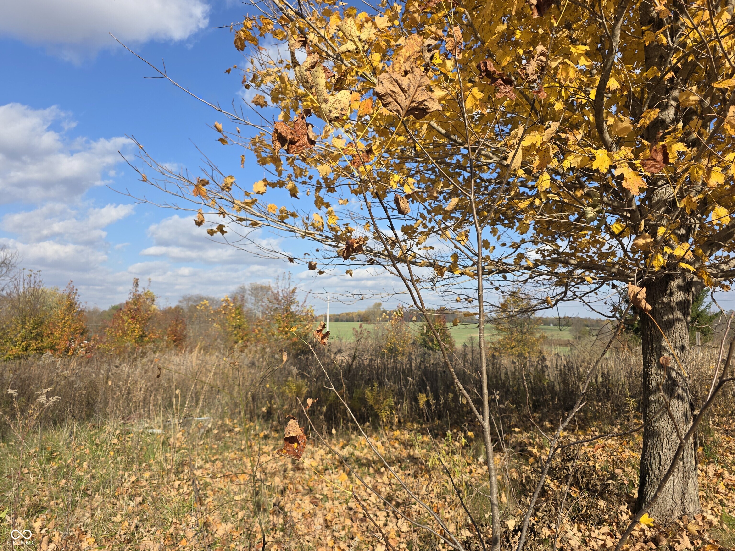 156 South Waggoner Road Paragon, IN 46166 - Photo 2 of 8