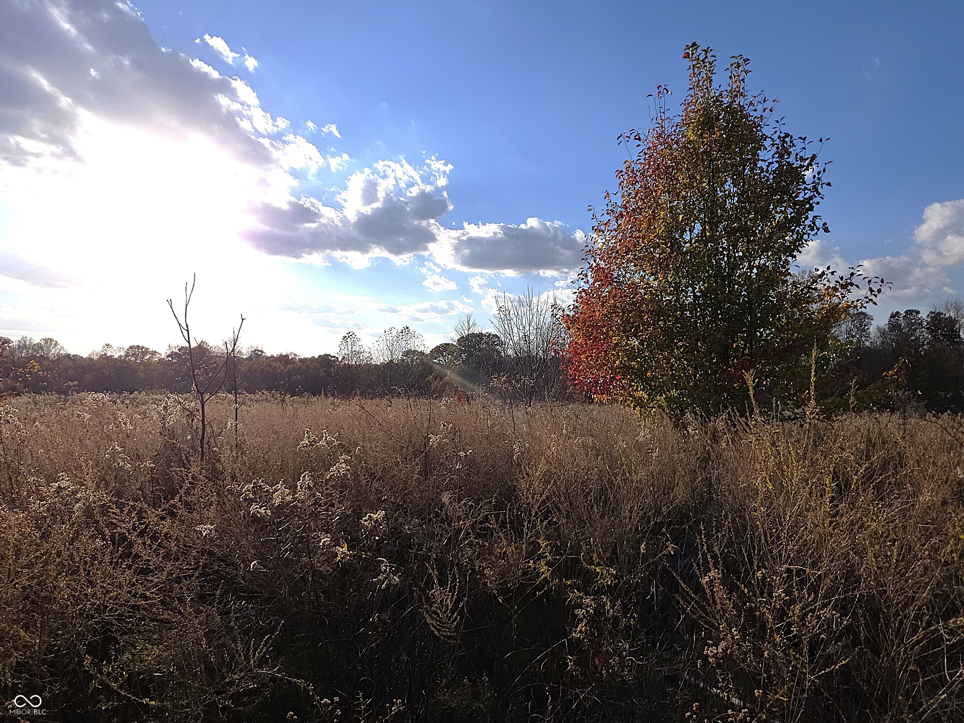 156 South Waggoner Road Paragon, IN 46166 - Photo 6 of 8