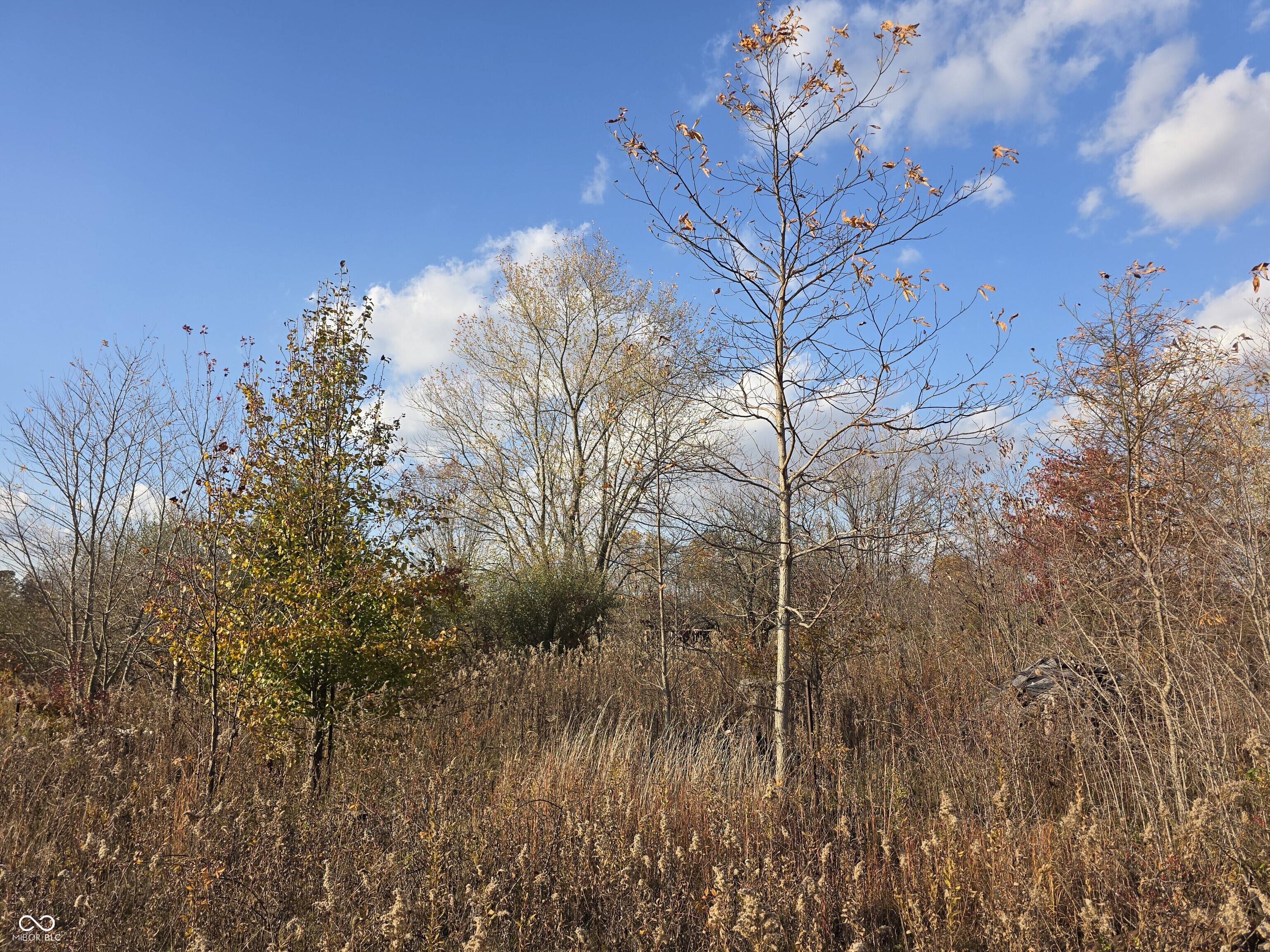 156 South Waggoner Road Paragon, IN 46166 - Photo 8 of 8