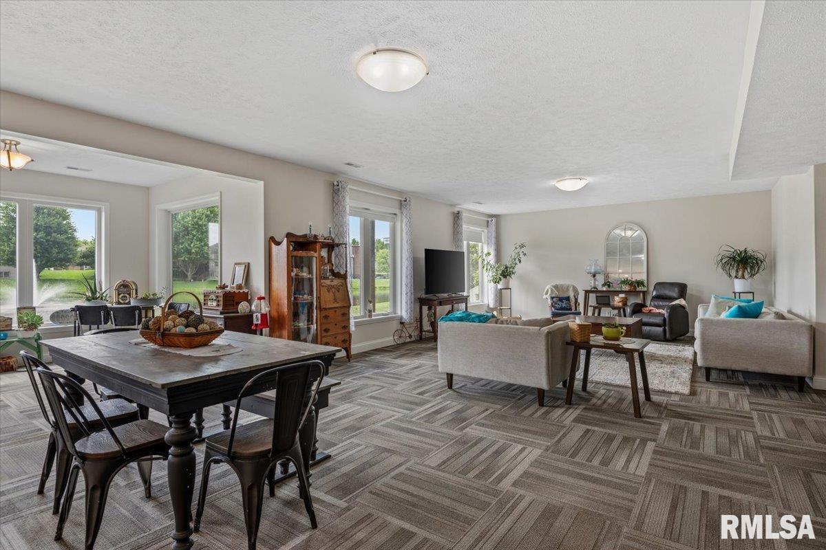 1070 Nine Rock Road Sherman, IL 62684 - Photo 47 of 80 Gallery Image 47
