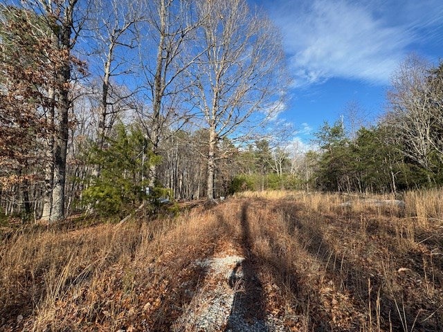 Tolers Ferry Road, Unit 2 Huddleston, VA 24104 - Photo 8 of 9 Gallery Image 8