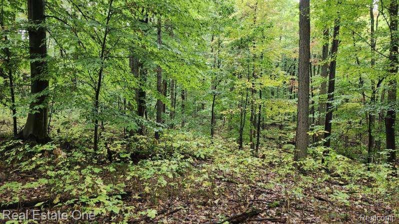 -curtis Rd Curtis Road Leonard, MI 48367 - Photo 8 of 11